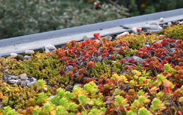 the cost of Rollestone green roof installation