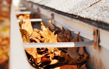 Rollestone gutter cleaning companies
