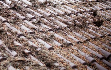 Rollestone roof cleaning companies