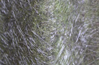 Rollestone fibreglass roof work